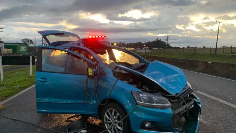 Cavalo é atropelado na BR-277 em Cascavel