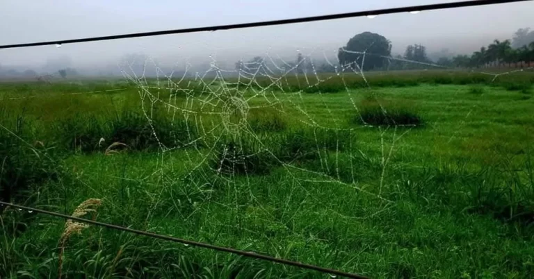 A magia em nossas mãos