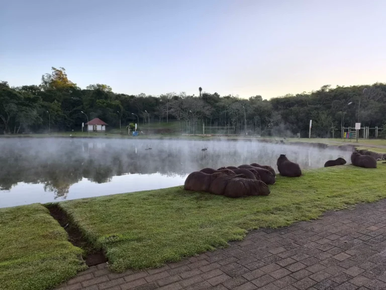 Marechal Rondon registra o dia mais frio do ano