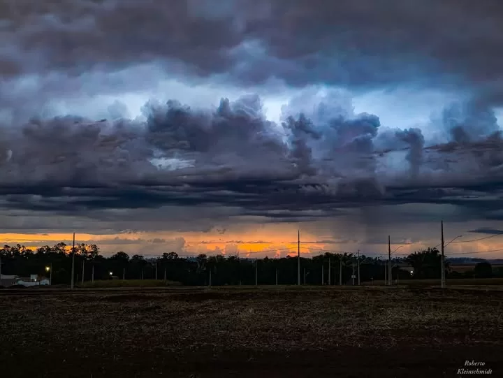Disposição e vontade
